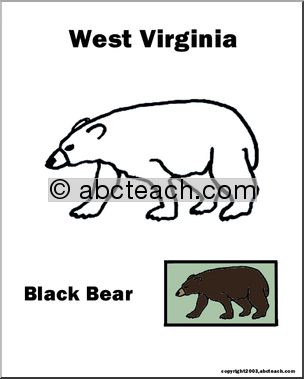 West Virginia: State Animal – Black Bear