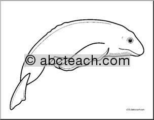 Clip Art: Baby Animals: Whale Calf (coloring page)