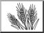 Clip Art: Basic Words: Wheat (coloring page)