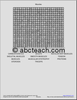 Word Search: Muscle System