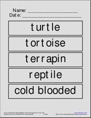 Word Wall: Turtle (primary)