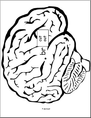 Word Wheels: Brain Shape (beginning “br” sound)