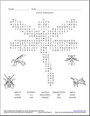Word Search: Insects Dragonfly Puzzle (medium) (primary/elementary)