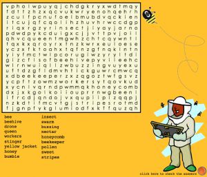 Interactive: Notebook: Word Search–Bee–Square