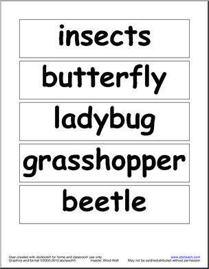 Word Wall: Insects (primary/elementary)