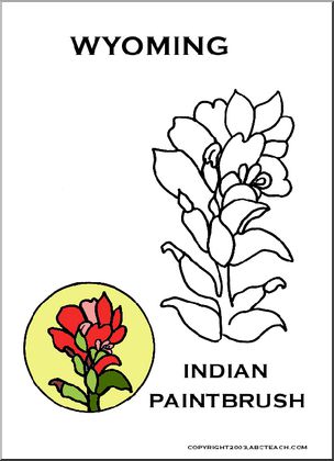 Wyoming:  State Flower – Indian Paintbrush