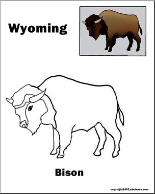 Wyoming: State Animal – Bison