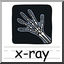 Clip Art: Basic Words: X-ray Color (poster)