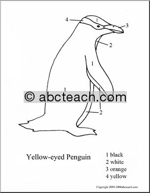Color By Number: Yellow-eyed Penguin