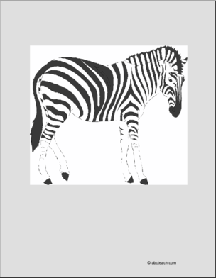 Coloring Page: Zebra