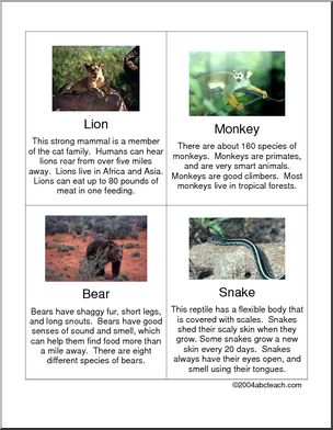 Fact Cards: Zoo Animals
